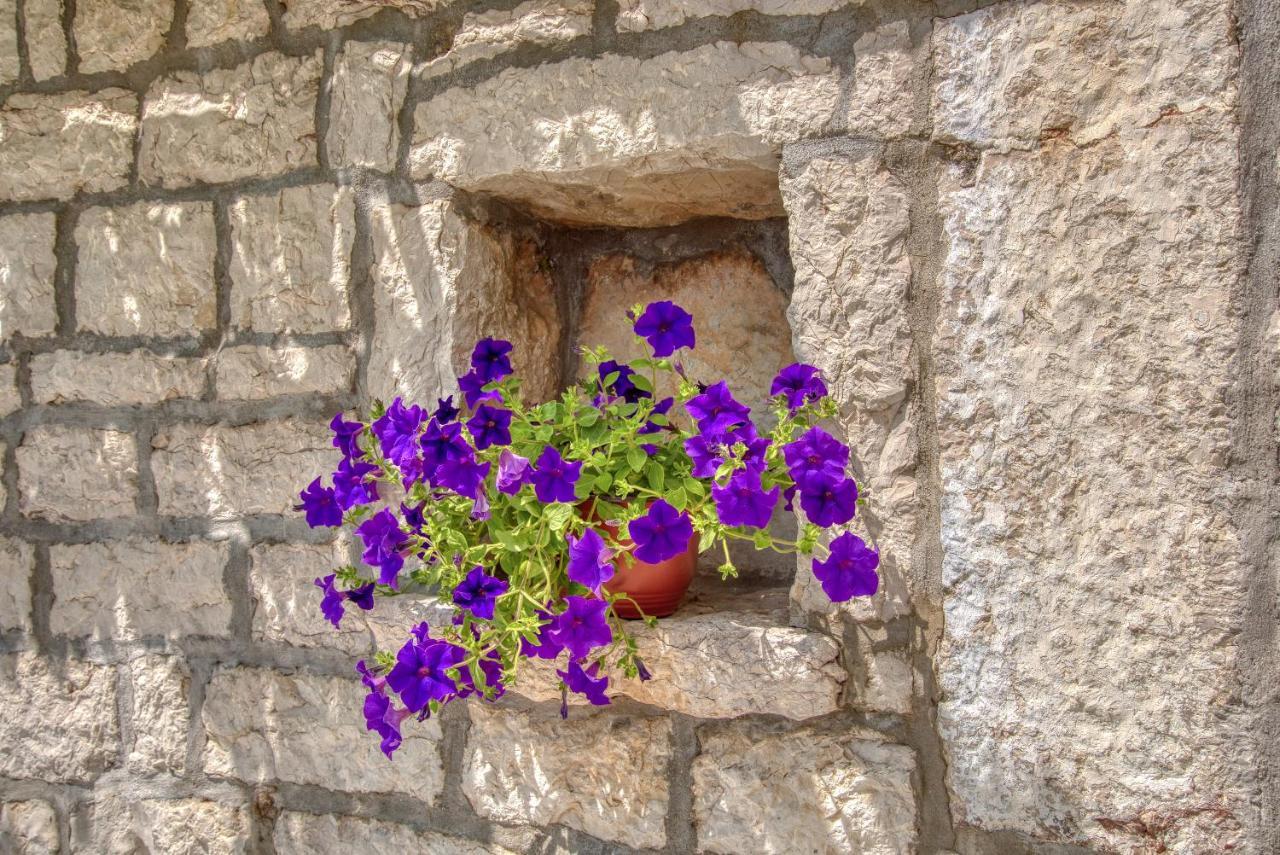 Vila Stari Mlin Ivanovici Dış mekan fotoğraf