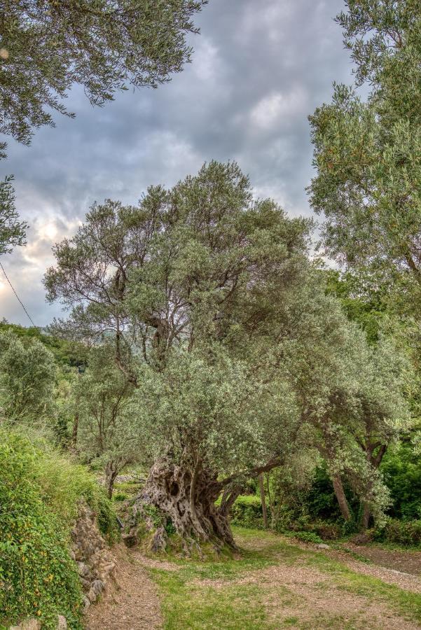 Vila Stari Mlin Ivanovici Dış mekan fotoğraf