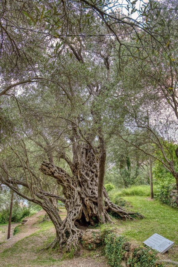 Vila Stari Mlin Ivanovici Dış mekan fotoğraf